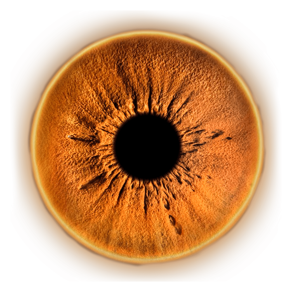 Ваш взгляд как произведение искусства