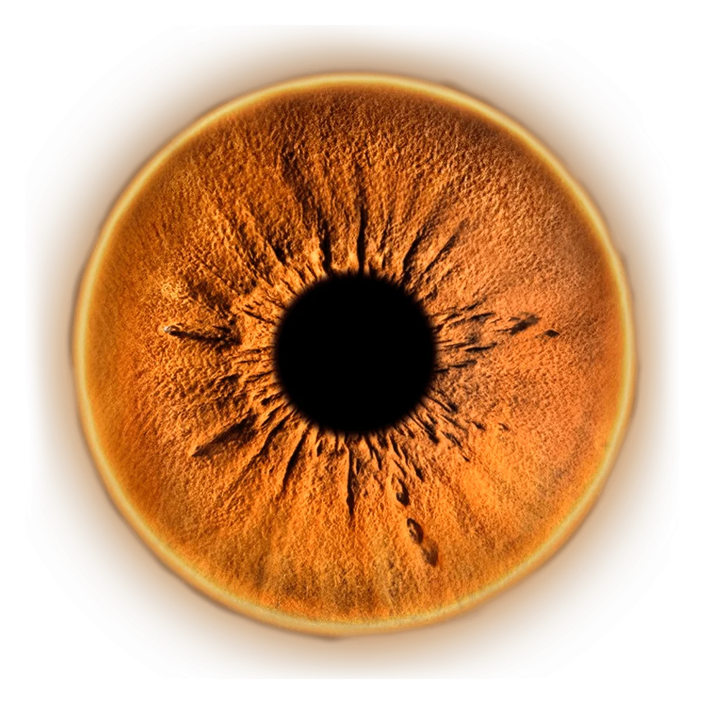 Ваш взгляд как произведение искусства